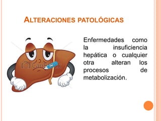 Factores que modifican la metabolización de los farmacos | PPTX
