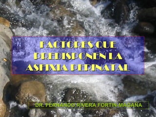 FACTORES QUE
 PREDISPONEN LA
ASFIXIA PERINATAL


 DR. FERNANDO RIVERA FORTIN-MAGAÑA
 