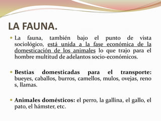 LA FAUNA.
 La  fauna, también bajo el punto de vista
 sociológico, está unida a la fase económica de la
 domesticación de los animales lo que trajo para el
 hombre multitud de adelantos socio-económicos.

 Bestias   domesticadas para el transporte:
 bueyes, caballos, burros, camellos, mulos, ovejas, reno
 s, llamas.

 Animales domésticos: el perro, la gallina, el gallo, el
 pato, el hámster, etc.
 