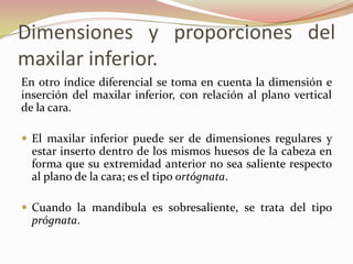 Dimensiones y proporciones del
maxilar inferior.
En otro índice diferencial se toma en cuenta la dimensión e
inserción del maxilar inferior, con relación al plano vertical
de la cara.

 El maxilar inferior puede ser de dimensiones regulares y
  estar inserto dentro de los mismos huesos de la cabeza en
  forma que su extremidad anterior no sea saliente respecto
  al plano de la cara; es el tipo ortógnata.

 Cuando la mandíbula es sobresaliente, se trata del tipo
  prógnata.
 