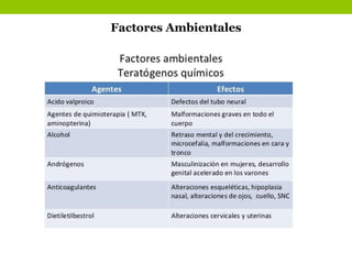 Factores Ambientales
 