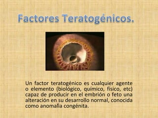 Un factor teratogénico es cualquier agente
o elemento (biológico, químico, físico, etc)
capaz de producir en el embrión o feto una
alteración en su desarrollo normal, conocida
como anomalía congénita.
 
