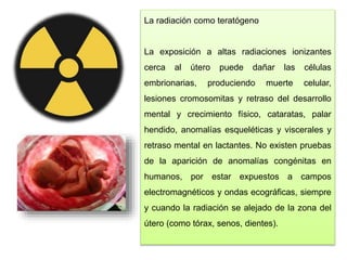 La radiación como teratógeno
La exposición a altas radiaciones ionizantes
cerca al útero puede dañar las células
embrionarias, produciendo muerte celular,
lesiones cromosomitas y retraso del desarrollo
mental y crecimiento físico, cataratas, palar
hendido, anomalías esqueléticas y viscerales y
retraso mental en lactantes. No existen pruebas
de la aparición de anomalías congénitas en
humanos, por estar expuestos a campos
electromagnéticos y ondas ecográficas, siempre
y cuando la radiación se alejado de la zona del
útero (como tórax, senos, dientes).
 