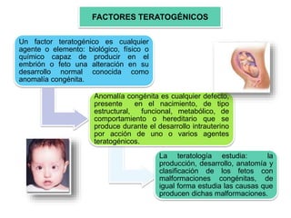 Un factor teratogénico es cualquier
agente o elemento: biológico, físico o
químico capaz de producir en el
embrión o feto una alteración en su
desarrollo normal conocida como
anomalía congénita.
Anomalía congénita es cualquier defecto,
presente en el nacimiento, de tipo
estructural, funcional, metabólico, de
comportamiento o hereditario que se
produce durante el desarrollo intrauterino
por acción de uno o varios agentes
teratogénicos.
La teratología estudia: la
producción, desarrollo, anatomía y
clasificación de los fetos con
malformaciones congénitas, de
igual forma estudia las causas que
producen dichas malformaciones.
FACTORES TERATOGÉNICOS
 