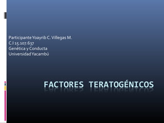 ParticipanteYoayrib C.Villegas M.
C.I 15.107.637
Genética y Conducta
UniversidadYacambú
 