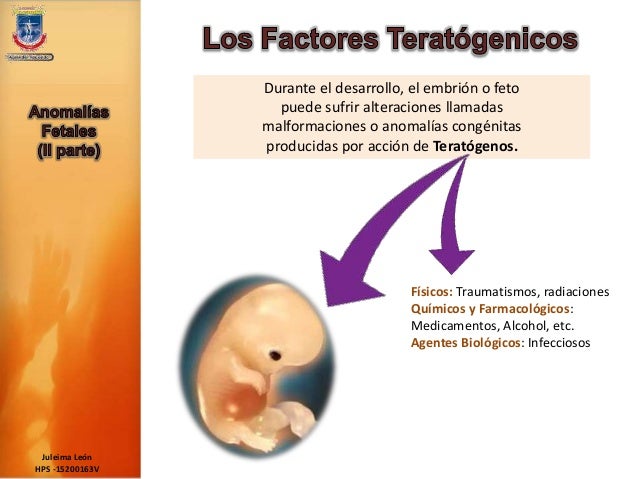 Factores Teratogénicos