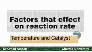 Temperature and Catalyst
Dr Omed Ameen Charmo University
 