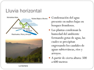 Lluvia horizontal Condensación del agua presente en nubes bajas en bosques frondosos.  Las plantas condensan la humedad del ambiente formando gotas de agua, las cuales se precipitan engrosando los caudales de aguas subterráneas, ríos y arroyos.  A partir de cierta altura: 500 a 600 metros La Gomera 