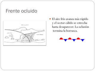 Frente ocluido El aire frío avanza más rápido y el sector cálido se estrecha hasta desaparecer. La oclusión  termina la borrasca. 