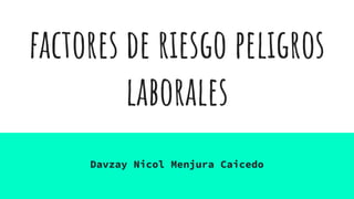 factores de riesgo peligros
laborales
Davzay Nicol Menjura Caicedo
 