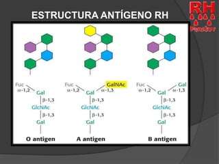 ESTRUCTURA ANTÍGENO RH 
 