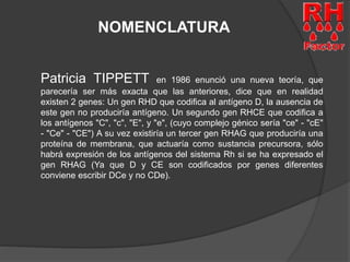 NOMENCLATURA 
Patricia TIPPETT en 1986 enunció una nueva teoría, que 
parecería ser más exacta que las anteriores, dice que en realidad 
existen 2 genes: Un gen RHD que codifica al antígeno D, la ausencia de 
este gen no produciría antígeno. Un segundo gen RHCE que codifica a 
los antígenos "C", "c", "E", y "e", (cuyo complejo génico sería "ce" - "cE" 
- "Ce" - "CE") A su vez existiría un tercer gen RHAG que produciría una 
proteína de membrana, que actuaría como sustancia precursora, sólo 
habrá expresión de los antígenos del sistema Rh si se ha expresado el 
gen RHAG (Ya que D y CE son codificados por genes diferentes 
conviene escribir DCe y no CDe). 
 