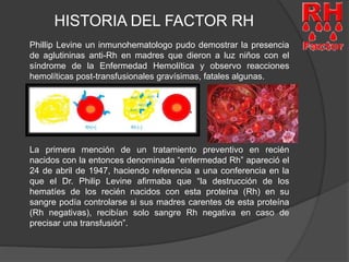 HISTORIA DEL FACTOR RH 
Phillip Levine un inmunohematologo pudo demostrar la presencia 
de aglutininas anti-Rh en madres que dieron a luz niños con el 
síndrome de la Enfermedad Hemolítica y observo reacciones 
hemolíticas post-transfusionales gravísimas, fatales algunas. 
La primera mención de un tratamiento preventivo en recién 
nacidos con la entonces denominada “enfermedad Rh” apareció el 
24 de abril de 1947, haciendo referencia a una conferencia en la 
que el Dr. Philip Levine afirmaba que “la destrucción de los 
hematíes de los recién nacidos con esta proteína (Rh) en su 
sangre podía controlarse si sus madres carentes de esta proteína 
(Rh negativas), recibían solo sangre Rh negativa en caso de 
precisar una transfusión”. 
 