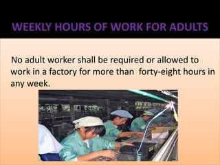 WEEKLY HOURS OF WORK FOR ADULTS
No adult worker shall be required or allowed to
work in a factory for more than forty-eight hours in
any week.

 