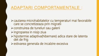 ADAPTARI COMPORTAMENTALE :
cautarea microhabitatelor cu temperaturi mai favorabile
care se concretizeaza prin migratii
construirea de tuneluri sau galerii
ingroparea in nisip ziua
hipotermie adaptiva(hibernare) adica stare de latenta
det de frig
estivarea generala de incalzire excesiva
 
