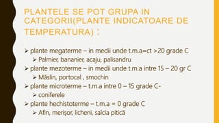 PLANTELE SE POT GRUPA IN
CATEGORII(PLANTE INDICATOARE DE
TEMPERATURA) :
 plante megaterme – in medii unde t.m.a=ct >20 grade C
 Palmier, bananier, acaju, palisandru
 plante mezoterme – in medii unde t.m.a intre 15 – 20 gr C
 Măslin, portocal , smochin
 plante microterme – t.m.a intre 0 – 15 grade C-
 coniferele
 plante hechistoterme – t.m.a = 0 grade C
 Afin, merișor, licheni, salcia pitică
 