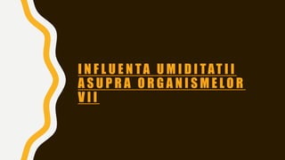 I N F L U E N TA U M I D I TAT I I
A S U P R A O R G A N I S M E L O R
V I I
 