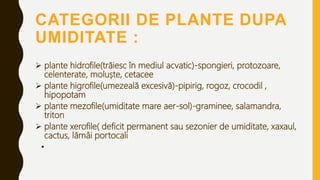 CATEGORII DE PLANTE DUPA
UMIDITATE :
 plante hidrofile(trăiesc în mediul acvatic)-spongieri, protozoare,
celenterate, moluște, cetacee
 plante higrofile(umezeală excesivă)-pipirig, rogoz, crocodil ,
hipopotam
 plante mezofile(umiditate mare aer-sol)-graminee, salamandra,
triton
 plante xerofile( deficit permanent sau sezonier de umiditate, xaxaul,
cactus, lămâi portocali
•
 
