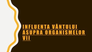 INFLUENTA VÂNTULUI
ASUPRA ORGANISMELOR
VII
 