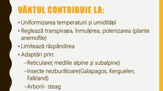 VÂNTUL CONTRIBUIE LA:
• Uniformizarea temperaturii și umidității
• Reglează transpirația, înmulțirea, polenizarea (plante
anemofile)
• Limitează răspândirea
• Adaptări prin:
–Reticulare( mediile alpine și subalpine)
–Insecte nezburătoare(Galapagos, Kerguelen,
Falkland)
–Arborii- steag
 