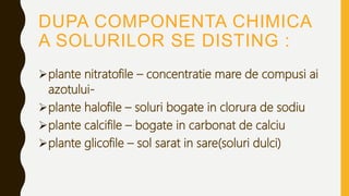 DUPA COMPONENTA CHIMICA
A SOLURILOR SE DISTING :
plante nitratofile – concentratie mare de compusi ai
azotului-
plante halofile – soluri bogate in clorura de sodiu
plante calcifile – bogate in carbonat de calciu
plante glicofile – sol sarat in sare(soluri dulci)
 