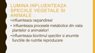 LUMINA INFLUENTEAZA
SPECIILE VEGETALE SI
ANIMALE :
•influenteaza raspandirea!
• influenteaza procesele metabolice din viata
plantelor si animalelor!
•influenteaza bioritmul speciilor si anumite
functiile de nutritie reproducere
 