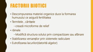 FACTORII BIOTICI
• Descompunerea materiei organice duce la formarea
humusului ce asigură fertilitatea
• Termitele , cârtițele
–crează microforme de relief
• râmele
–Modifică structura solului prin compactizare sau afânare
• Stabilizarea versanților prin sistemele radiculare
• Eutrofizarea lacurilor(datorită algelor)
 