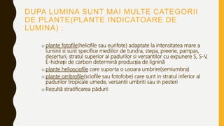 DUPA LUMINA SUNT MAI MULTE CATEGORII
DE PLANTE(PLANTE INDICATOARE DE
LUMINA) :
o plante fotofile(heliofile sau eurifote) adaptate la intensitatea mare a
luminii si sunt specifice mediilor de tundra, stepa, preerie, pampas,
deserturi, stratul superior al padurilor si versantilor cu expunere S, S-V,
E-hidrații de carbon determină producția de lignină
o plante heliosciofile care suporta o usoara umbrire(semiumbra)
o plante ombrofile(sciofile sau fotofobe) care sunt in stratul inferior al
padurilor tropicale umede, versantii umbriti sau in pesteri
o Rezultă stratificarea pădurii
 