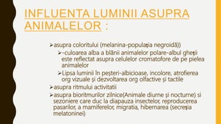 INFLUENTA LUMINII ASUPRA
ANIMALELOR :
asupra coloritului (melanina-populația negroidă))
-culoarea alba a blănii animalelor polare-albul gheții
este reflectat asupra celulelor cromatofore de pe pielea
animalelor
Lipsa luminii în peșteri-albicioase, incolore, atrofierea
org vizuale și dezvoltarea org olfactive și tactile
asupra ritmului activitatii
asupra bioritmurilor zilnice(Animale diurne și nocturne) si
sezoniere care duc la diapauza insectelor, reproducerea
pasarilor, a mamiferelor, migratia, hibernarea (secreția
melatoninei)
 