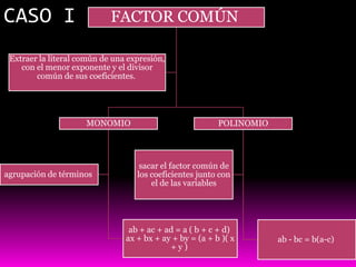 CASO I                      FACTOR COMÚN

 Extraer la literal común de una expresión,
    con el menor exponente y el divisor
        común de sus coeficientes.




                     MONOMIO                              POLINOMIO




                                    sacar el factor común de
agrupación de términos             los coeficientes junto con
                                       el de las variables




                                 ab + ac + ad = a ( b + c + d)
                                ax + bx + ay + by = (a + b )( x       ab - bc = b(a-c)
                                            +y)
 