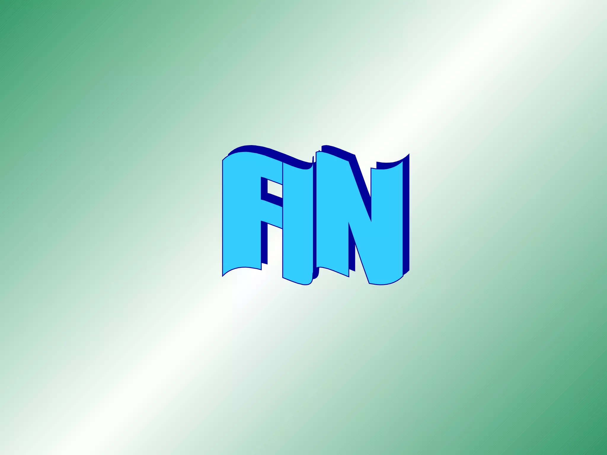 FIN 