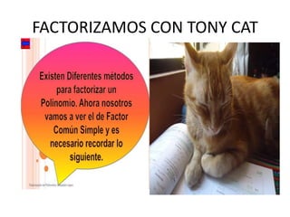 FACTORIZAMOS CON TONY CAT
 