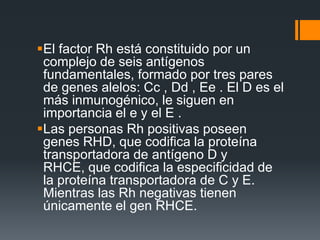 El factor Rh está constituido por un
complejo de seis antígenos
fundamentales, formado por tres pares
de genes alelos: Cc , Dd , Ee . El D es el
más inmunogénico, le siguen en
importancia el e y el E .
Las personas Rh positivas poseen
genes RHD, que codifica la proteína
transportadora de antígeno D y
RHCE, que codifica la especificidad de
la proteína transportadora de C y E.
Mientras las Rh negativas tienen
únicamente el gen RHCE.