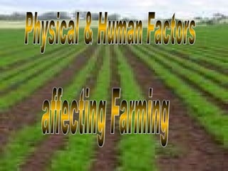 Physical & Human Factors affecting Farming 