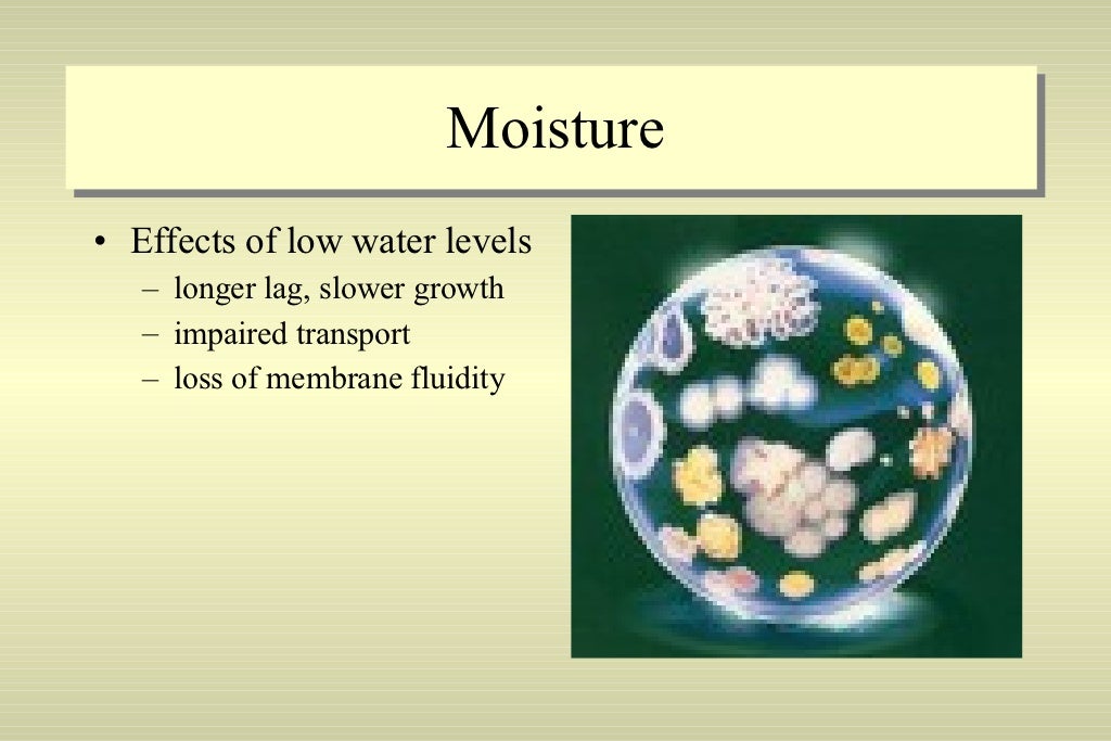 Factors Affecting Microbial Growth