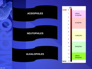 ACIDOPHILES
NEUTOPHILES
ALKALOPHILES
 