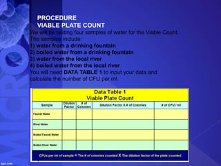 PROCEDURE
VIABLE PLATE COUNT
We will be testing four samples of water for the Viable Count.
The samples include:
1) water from a drinking fountain
2) boiled water from a drinking fountain
3) water from the local river
4) boiled water from the local river
You will need DATA TABLE 1 to input your data and
calculate the number of CFU per ml.
 