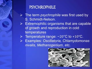 PSYCHROPHILE
 The term psychrophile was first used by
S. Schmidt-Nelson.
 Extremophilic organisms that are capable
of growth and reproduction in cold
temperatures
 Temperature range: −20°C to +10°C.
 Examples: Oscillatoria, Chlamydomonas
nivalis, Methanogenium, etc.
 