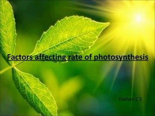 Dathan C S
Factors affecting rate of photosynthesis
 