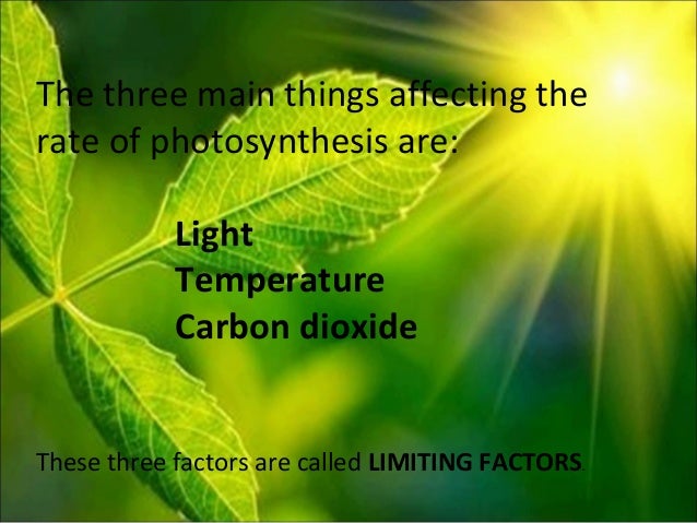three factors that affect the rate of photosynthesis Three major factors affect photosynthetic rates light intensity: generally, higher light intensity results in faster photosynthetic rates carbon dioxide. three factors that affect the rate of photosynthesis Three major factors affect photosynthetic rates light intensity: generally, higher light intensity results in faster photosynthetic rates carbon dioxide.