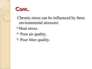 ContCont....
Chronic stress can be influenced by three
environmental stressors:
Heat stress.
 Poor air quality.
 Poor litter quality.
 