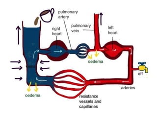Factors affect BP  4.pptx