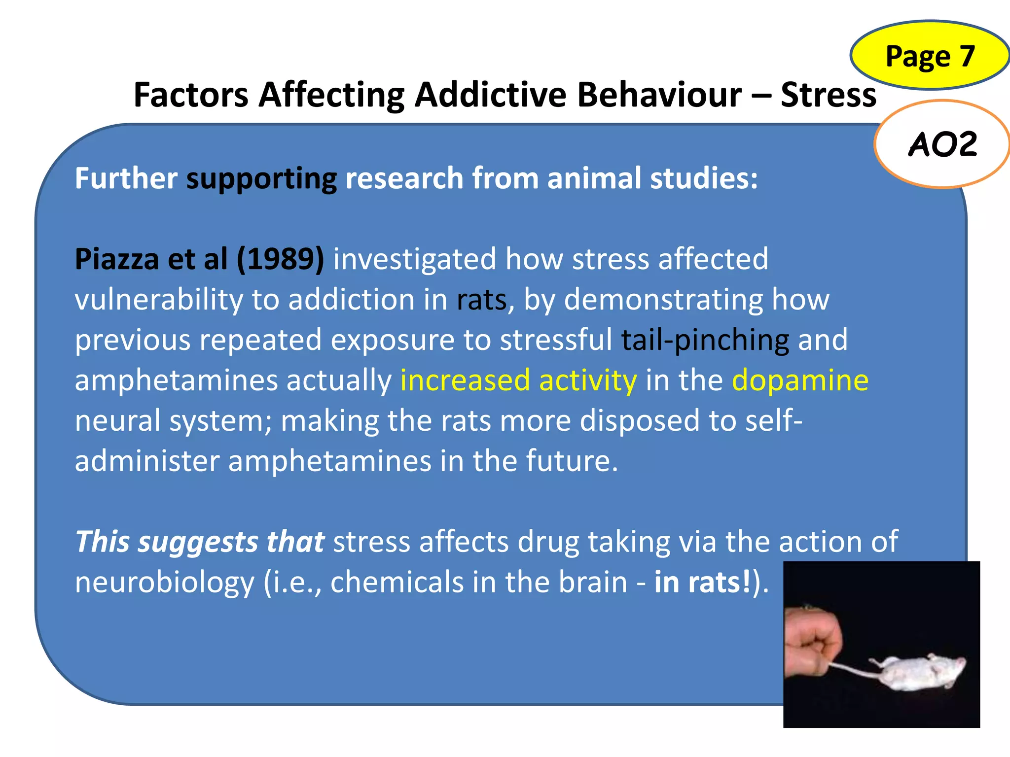 Factors Affecting Addictive Behaviour – Stress
Page 7
Further supporting research from animal studies:
Piazza et al (1989) investigated how stress affected
vulnerability to addiction in rats, by demonstrating how
previous repeated exposure to stressful tail-pinching and
amphetamines actually increased activity in the dopamine
neural system; making the rats more disposed to self-
administer amphetamines in the future.
This suggests that stress affects drug taking via the action of
neurobiology (i.e., chemicals in the brain - in rats!).
AO2
 