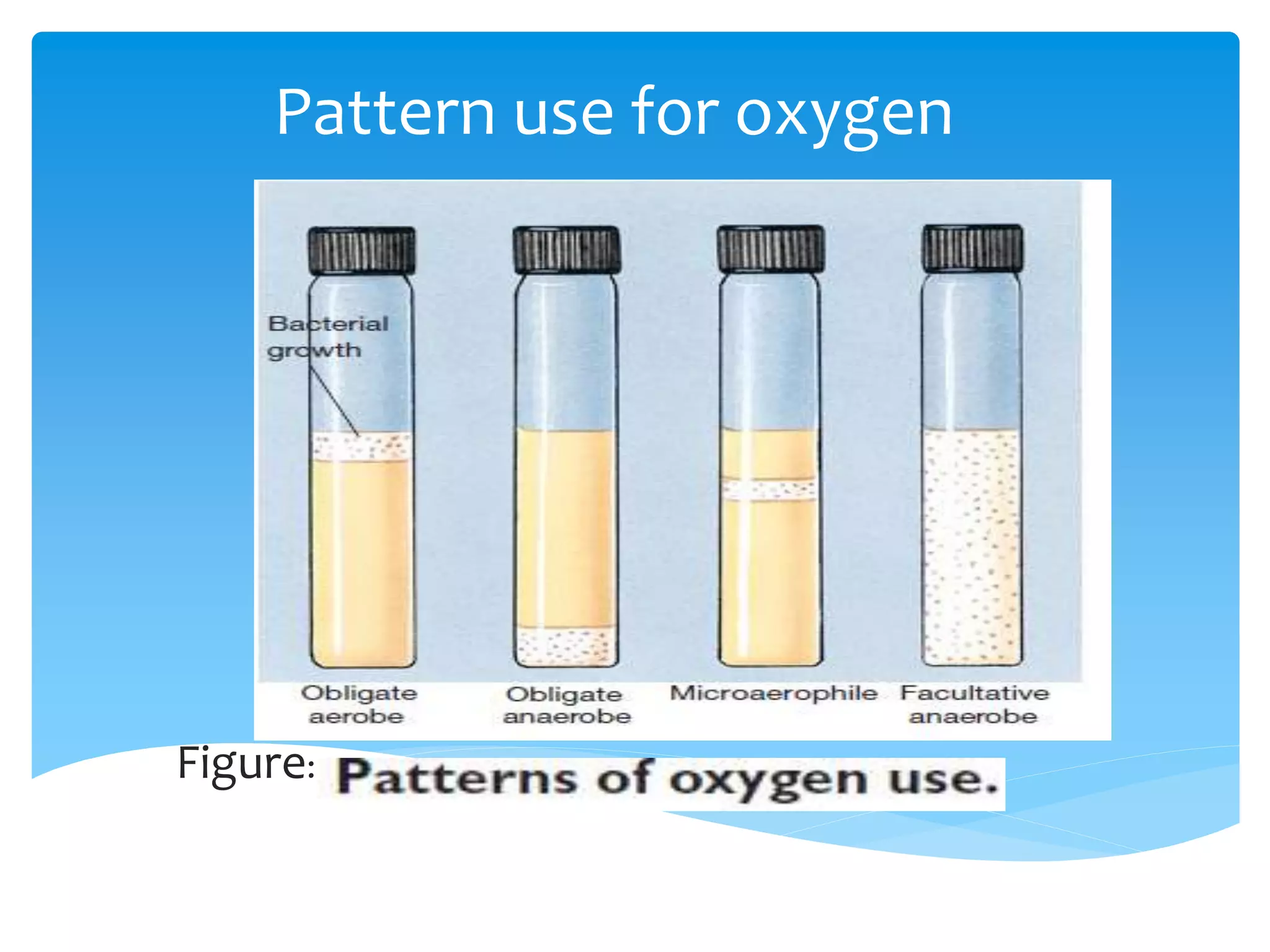 Factors affecting bacterial growth | PPTX
