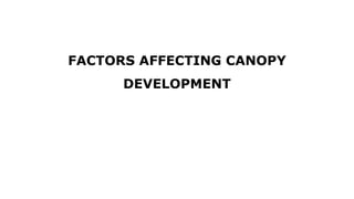 FACTORS AFFECTING CANOPY
DEVELOPMENT
 