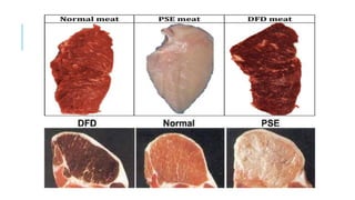 Factors affecting carcass and meat quality.pptx