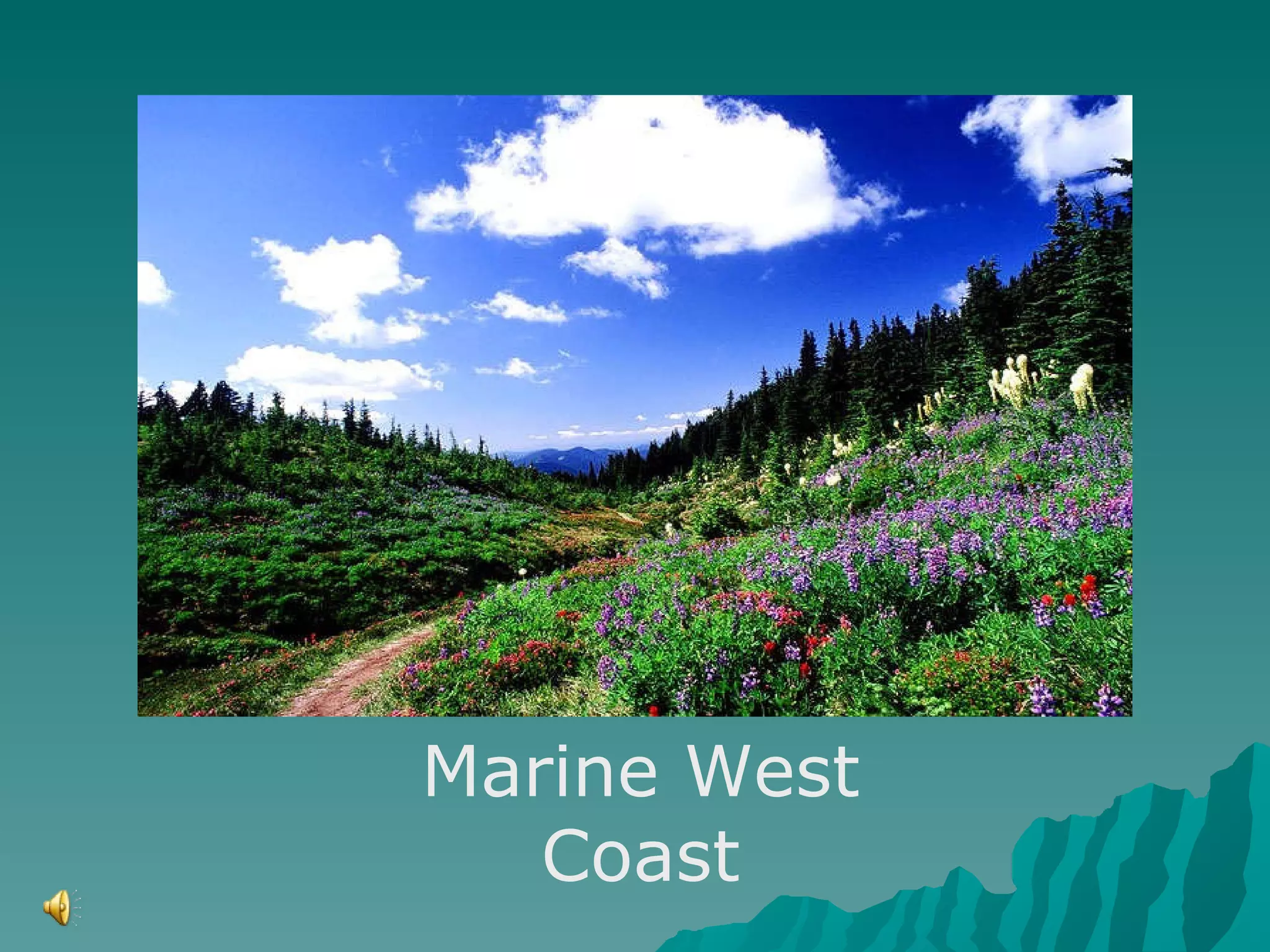 Marine West Coast 