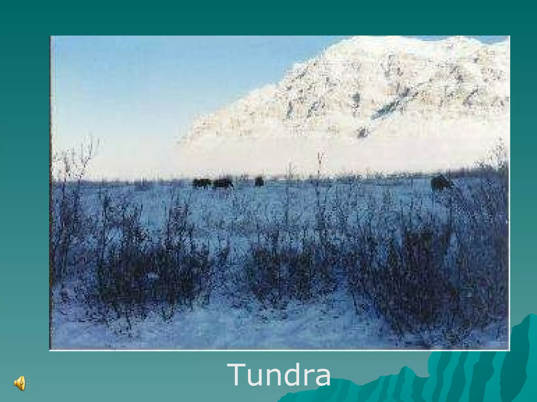 Tundra 