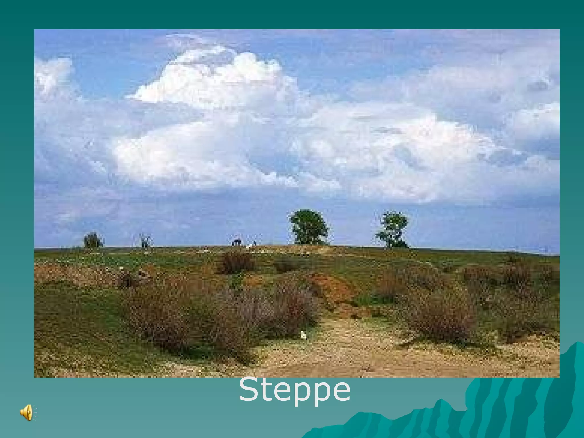 Steppe 