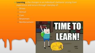 • Learning is the changes in an individual’s behavior arising from
experience and occurs through interplay of:
• Drives
• Stimuli
• Cues
• Responses
• Reinforcement
 